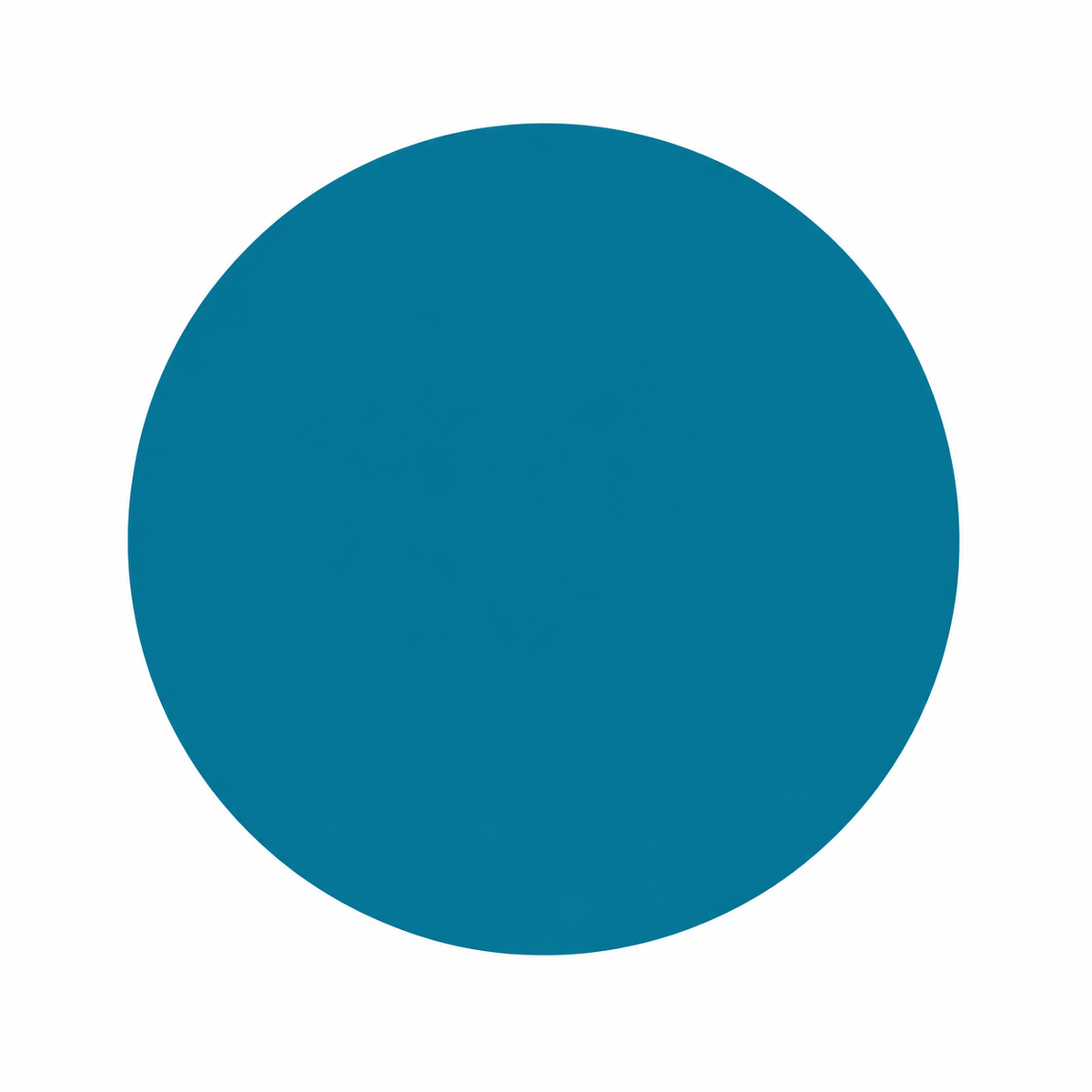 A solid teal blue circle centered on a plain white background.