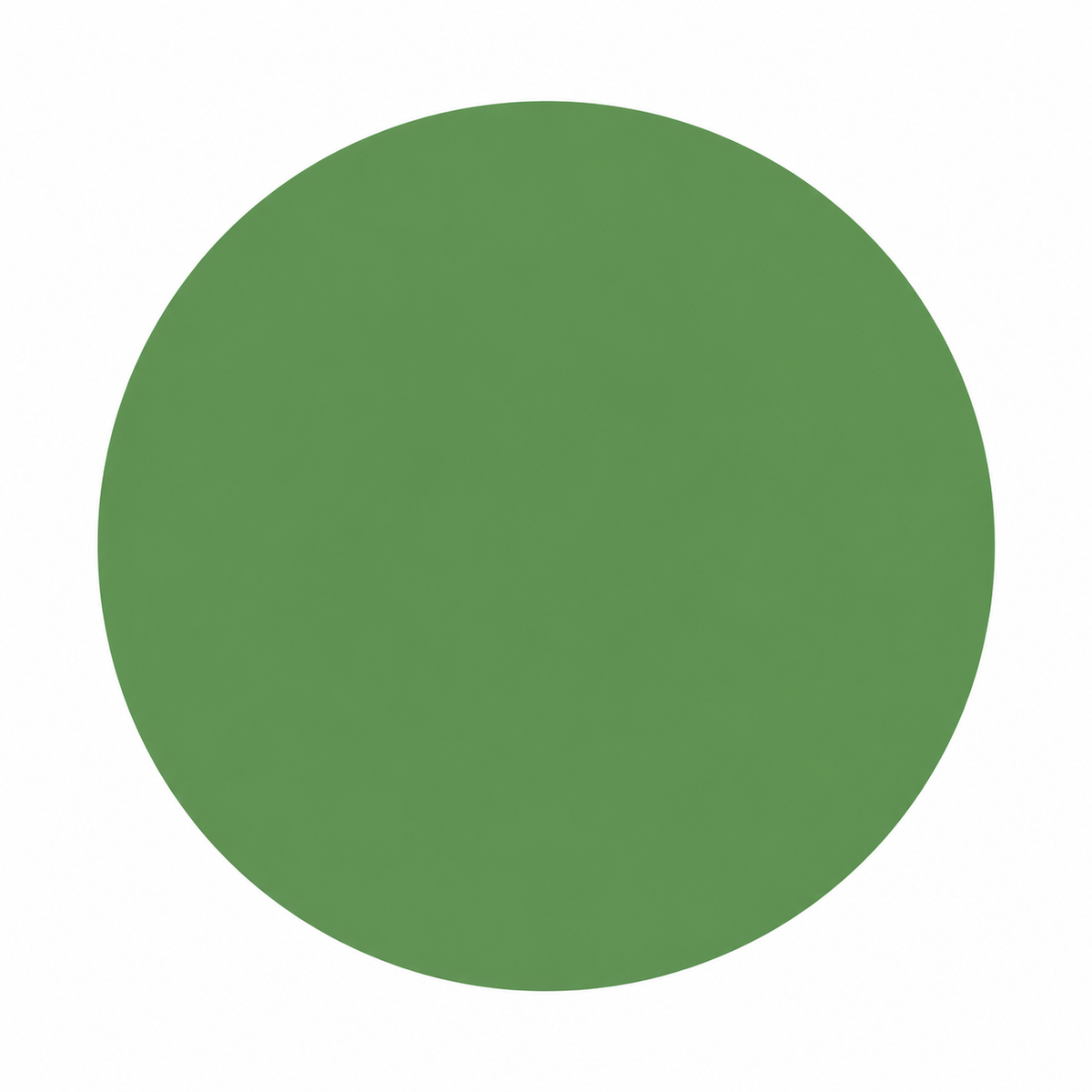 A solid medium green circle centered on a plain white background.