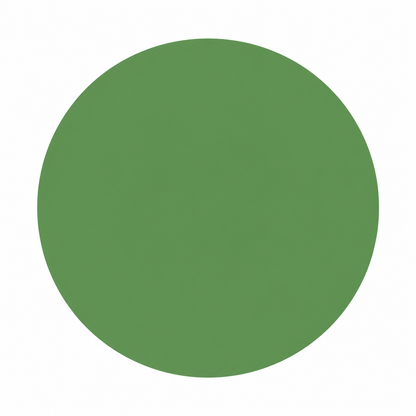 A solid medium green circle centered on a plain white background.
