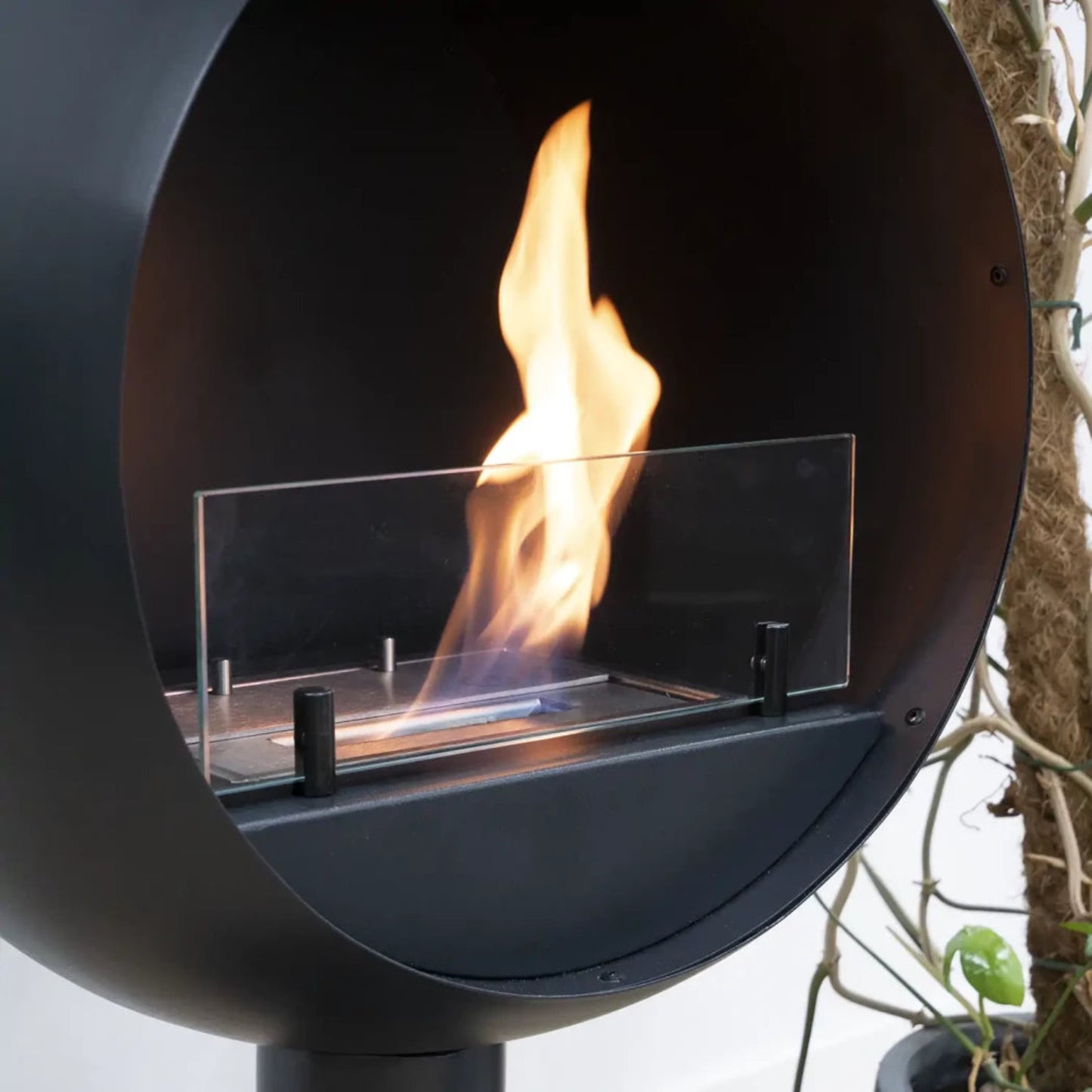 Blackbio-ethanol fireplace with flames burning inside, surrounded by plants.