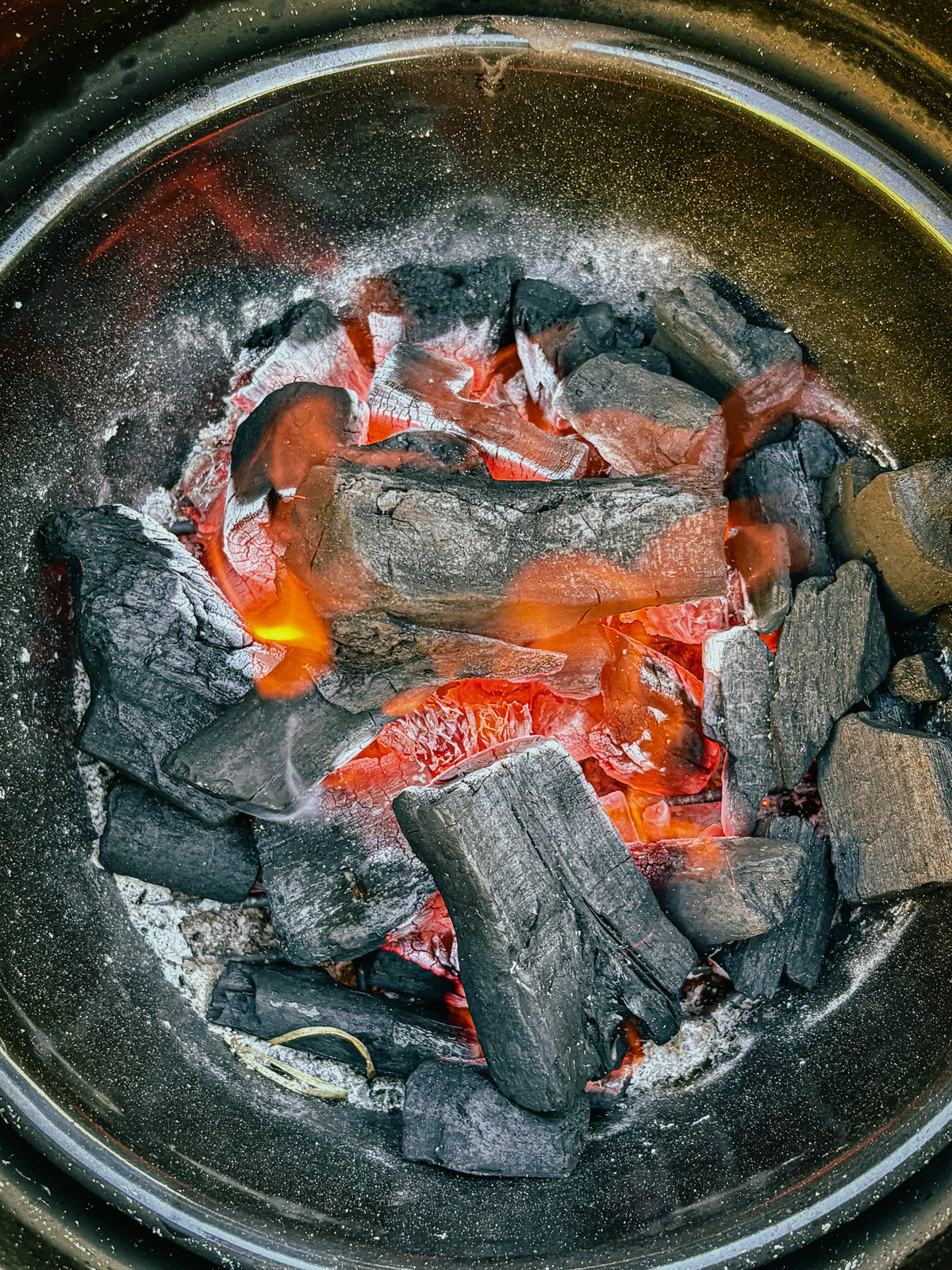 Little Cayuga BBQ Egg product photograph
