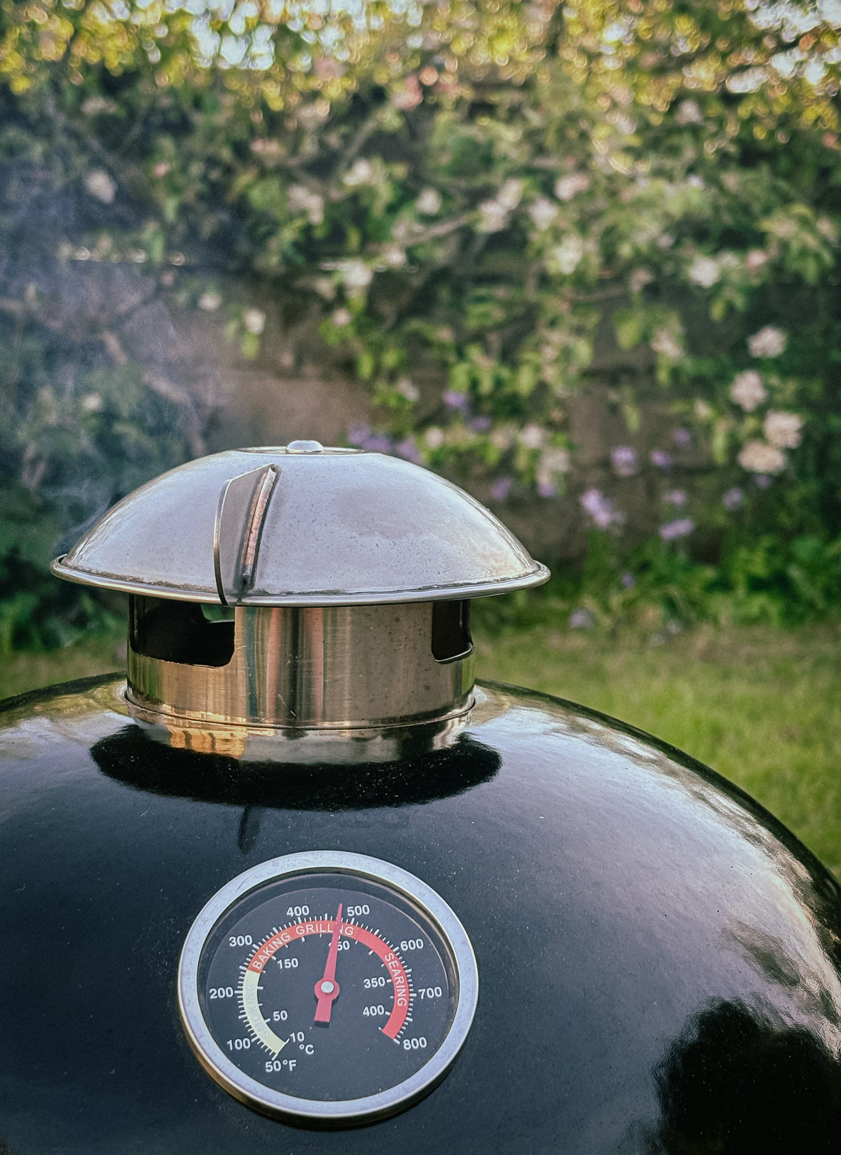 Little Cayuga BBQ Egg product photograph