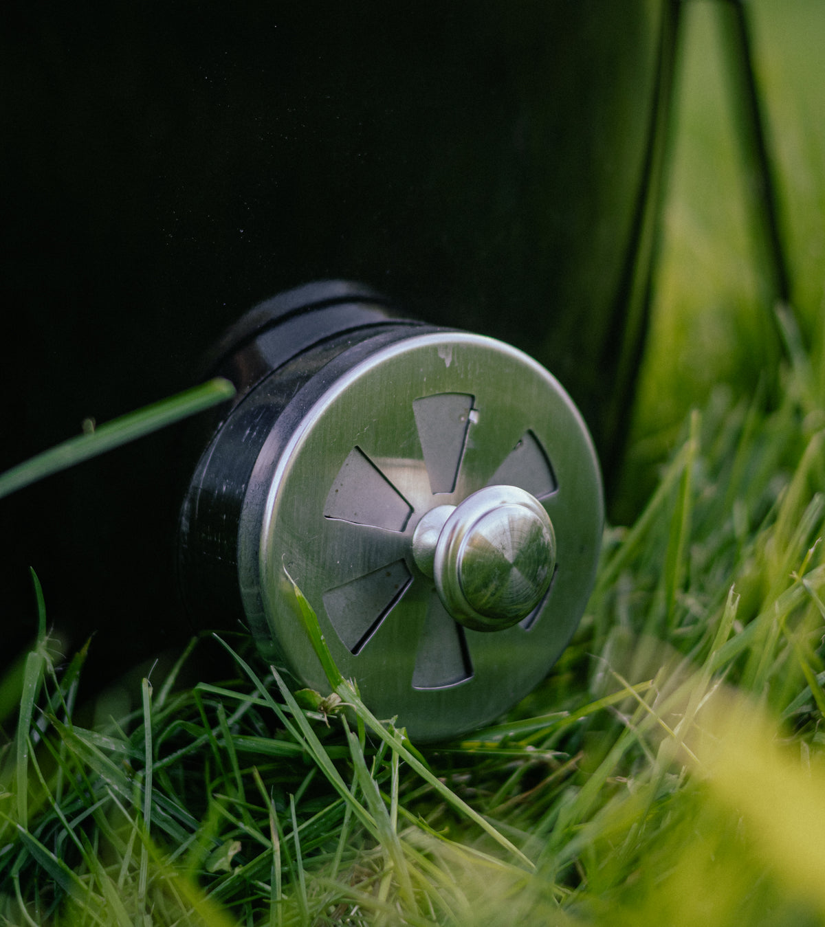 Little Cayuga BBQ Egg product photograph
