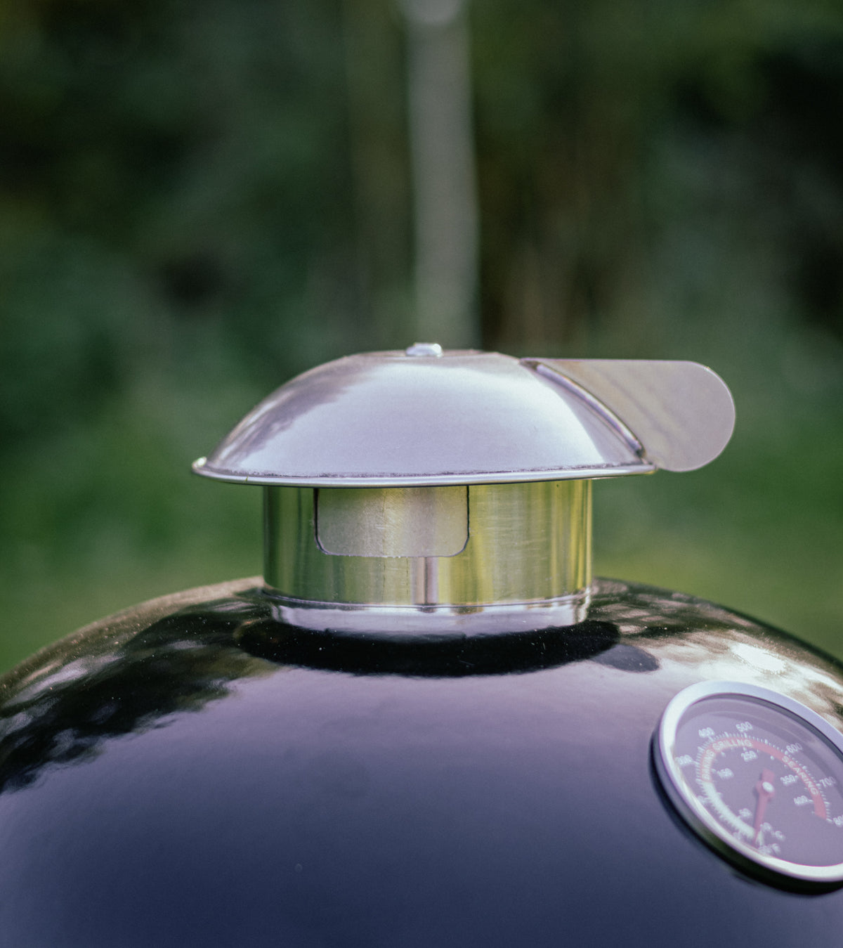 Little Cayuga BBQ Egg product photograph